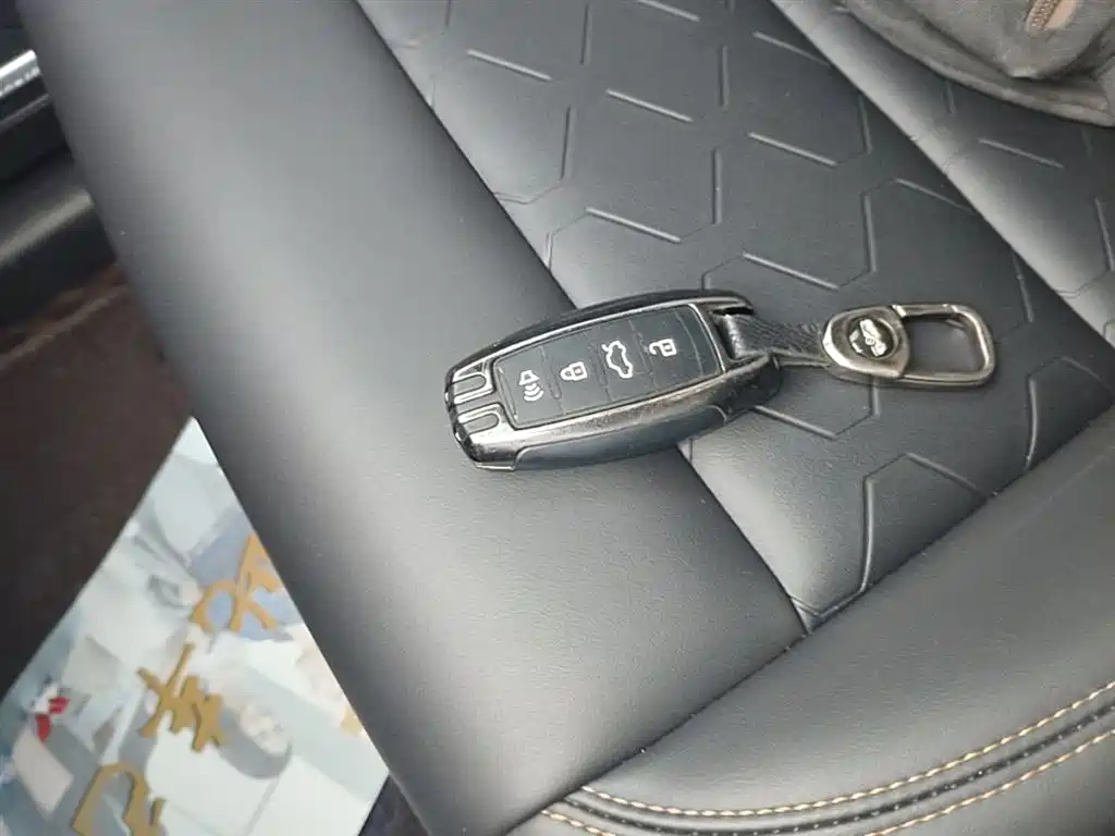 Haval Big Dog 2022 1.5T DCT FWD Labrador Edition фото 9