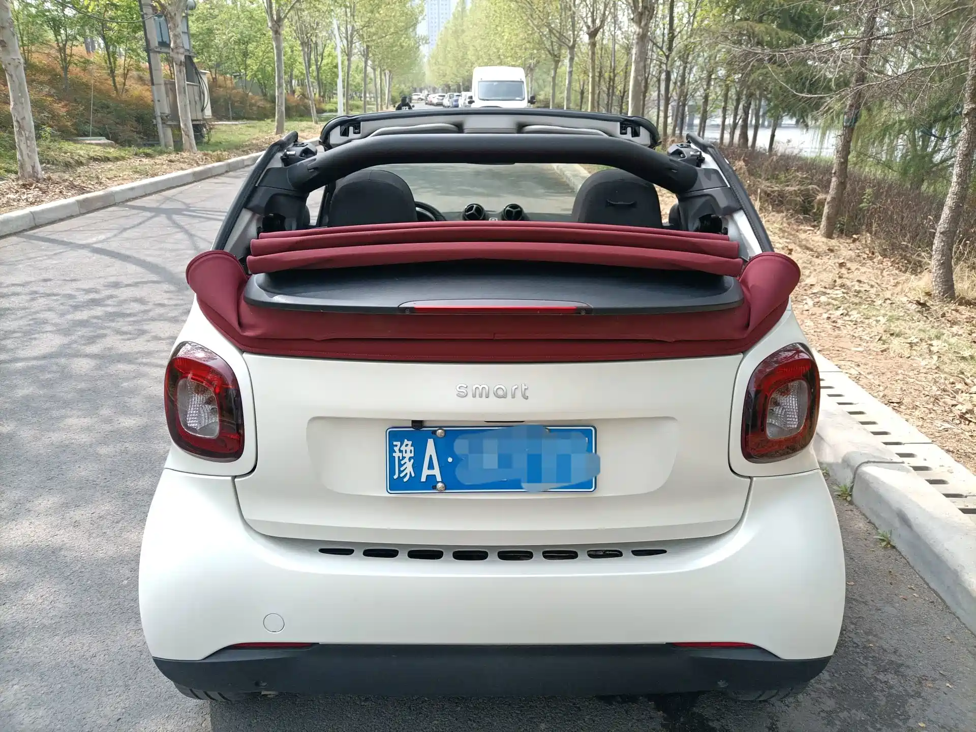 صورة 4 - smart fortwo