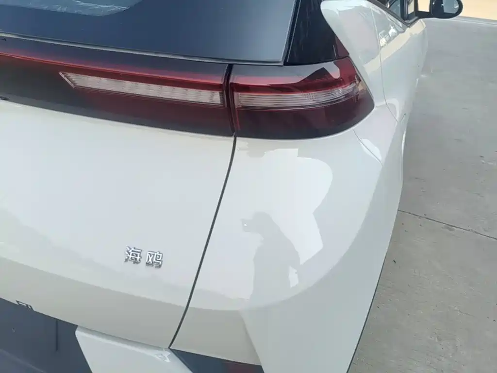 صورة 8 - BYD Seagull