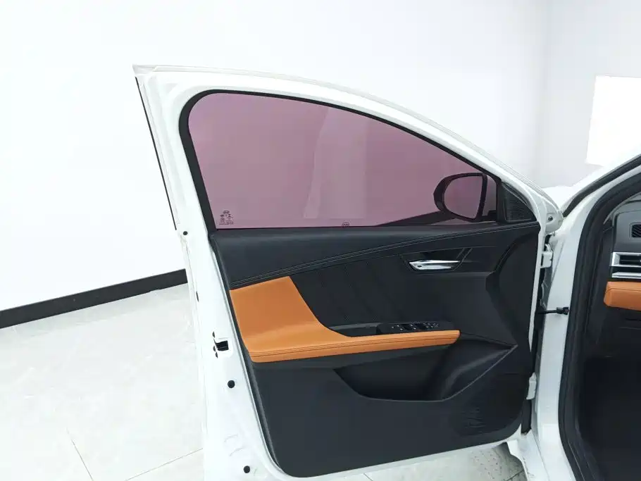 BYD e2 2021 2021 Luxury Edition