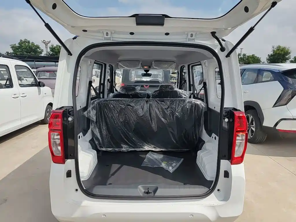 Wuling Motors Wuling Zhiguang NEV 2026 2025 Model 305km Base Version