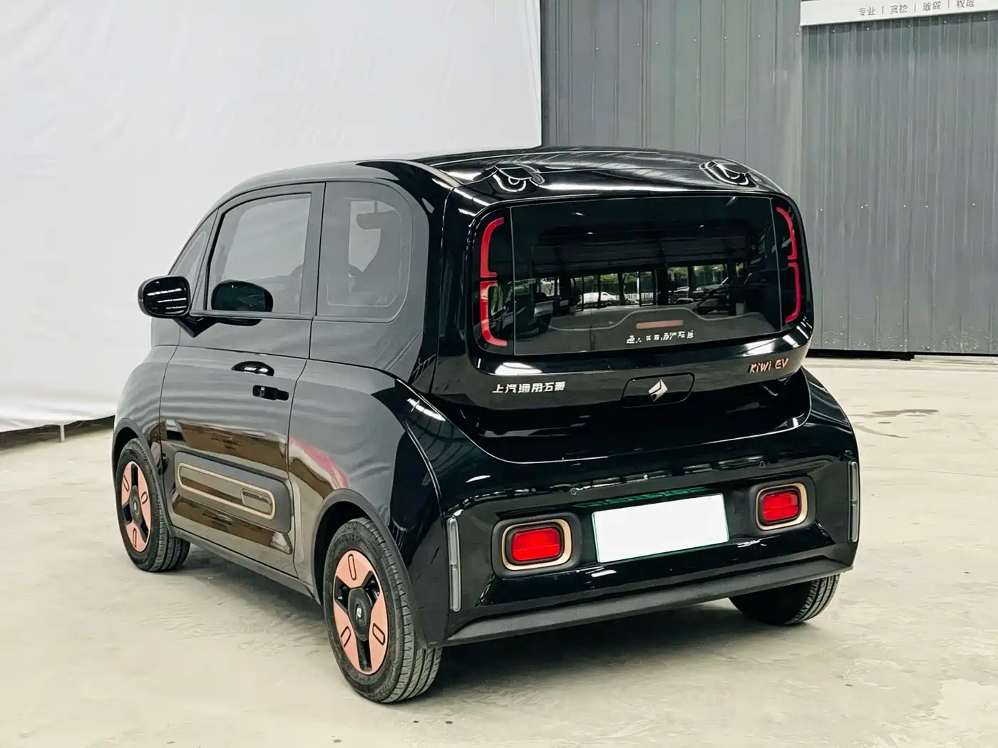 Baojun KiWi EV 2022 2022 Designer Lite Edition LFP