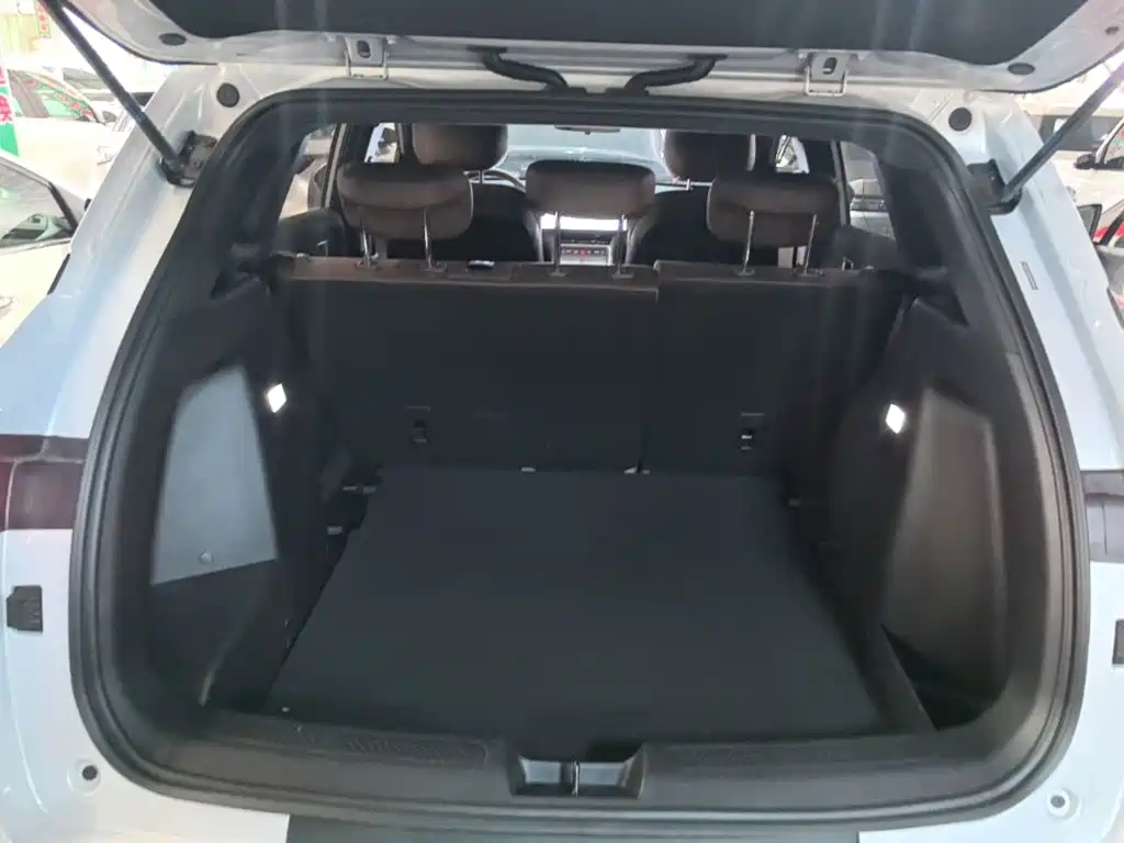 Wuling Motors Wuling Xingguang S 2025 2024 130km Pilot