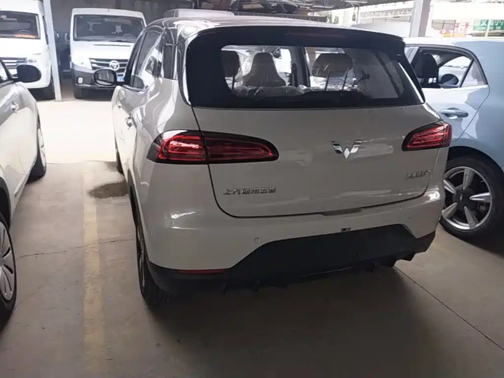 Wuling Motors Wuling Binguo PLUS 2026 2024 Model 330km 5-Seater