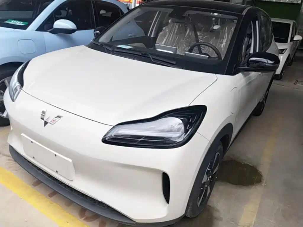 Wuling Motors Wuling Binguo PLUS 2026 2024 Model 330km 5-Seater