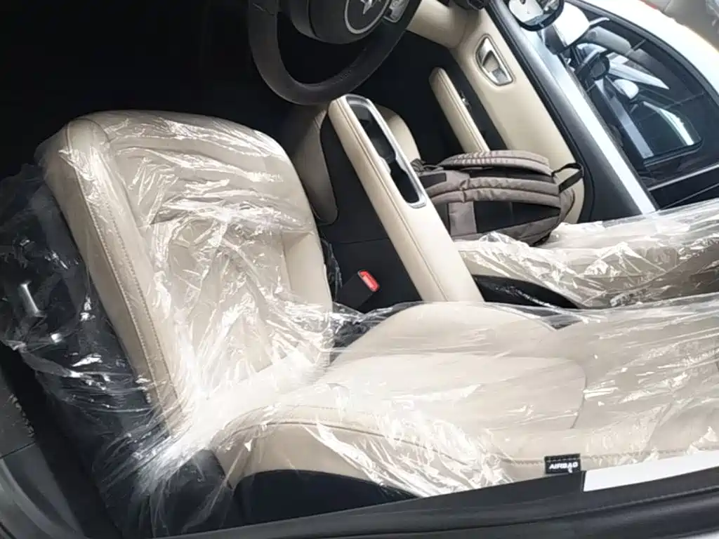 Wuling Motors Wuling Binguo PLUS 2026 2024 Model 330km 5-Seater
