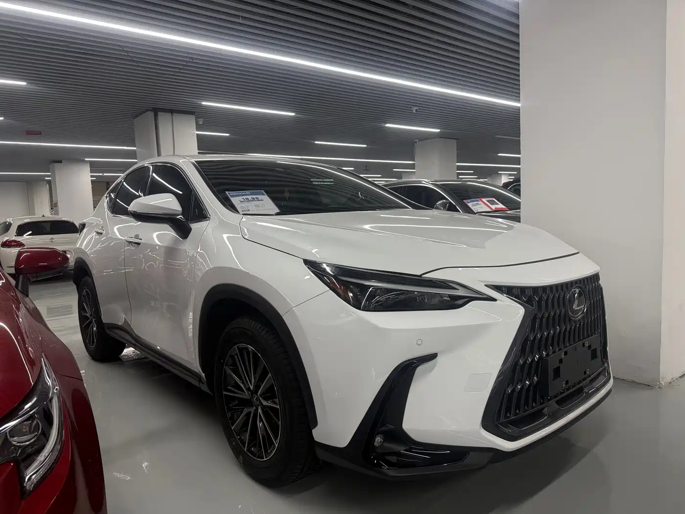 Lexus NX 2026 2025 Model 200 Base Version