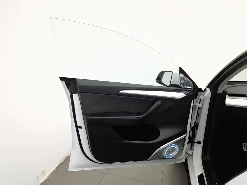 Tesla Model Y 2021 2021 Performance High-Performance AWD