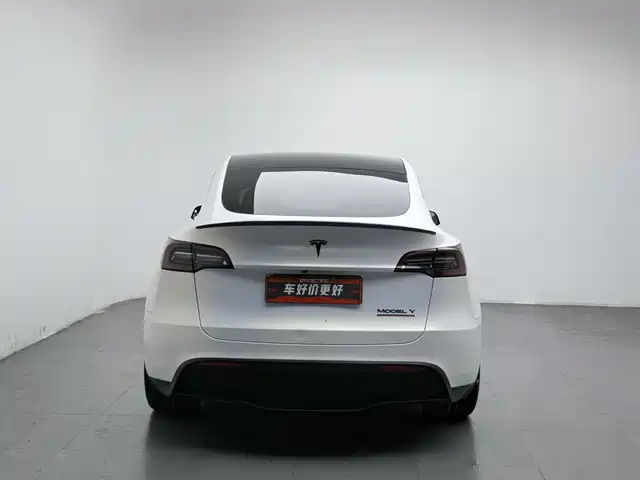 Tesla Model Y 2021 Performance High-Performance AWD — фото 4