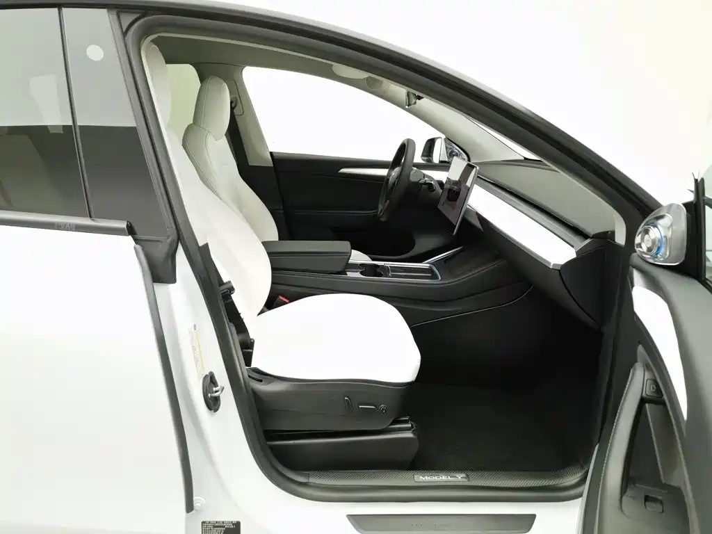 Tesla Model Y 2021 2021 Performance High-Performance AWD
