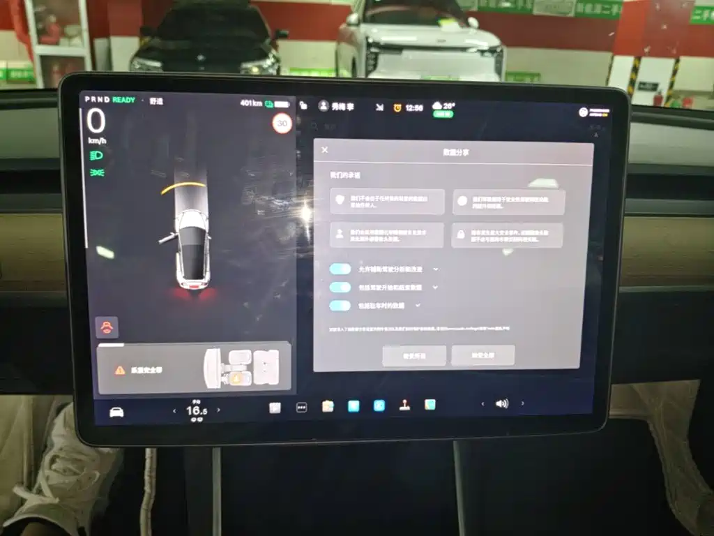 Tesla Model 3 (Import) 2019 2019 Long Range RWD Version