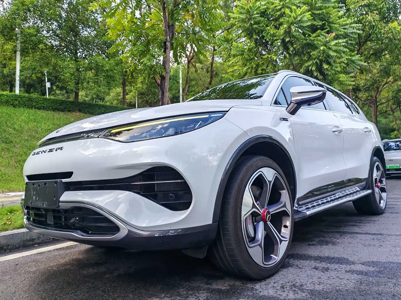 Denza X 2021 2020 Model PHEV Flagship Edition