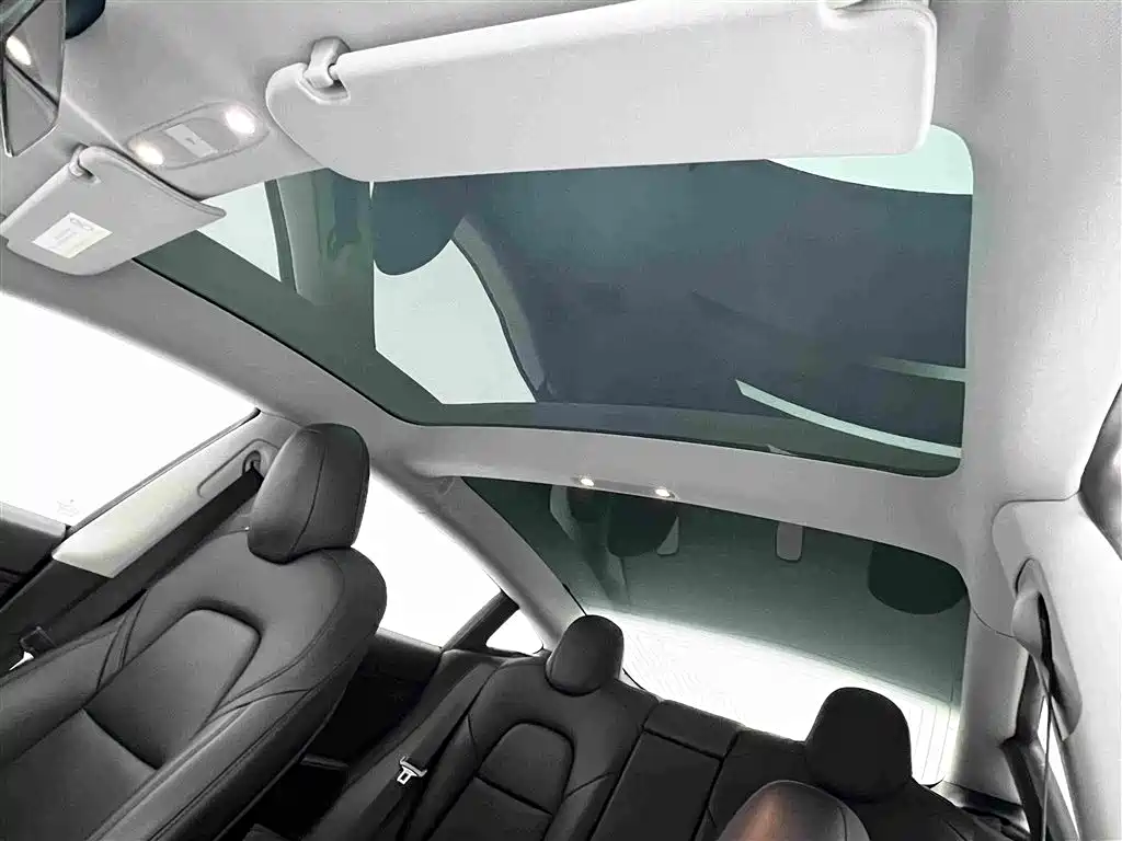 Photo 9 - Tesla Model 3 (Import)