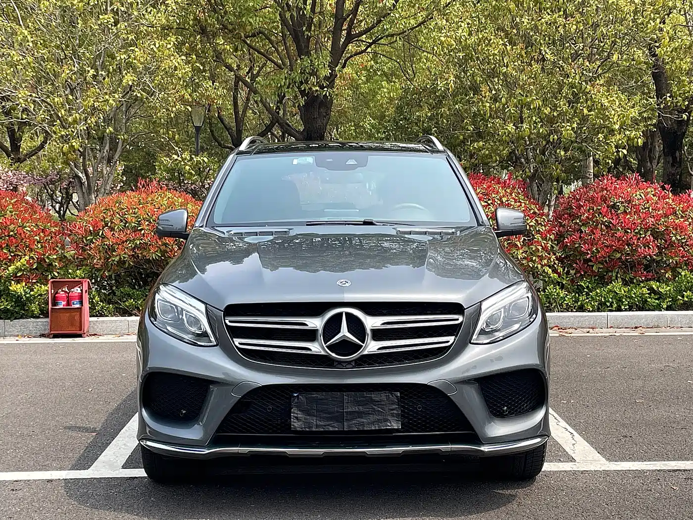 Mercedes-Benz GLE 2017 GLE 320 4MATIC Dynamic фото 2