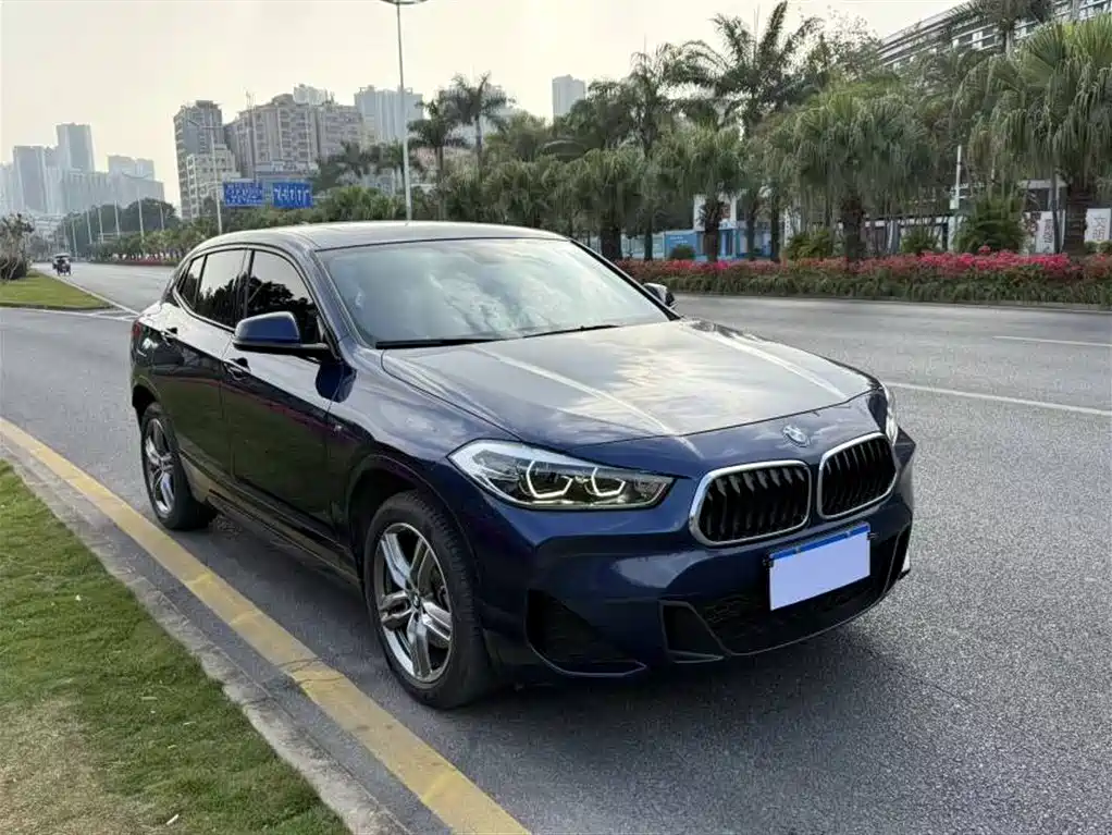 BMW X2 2020 sDrive25i Leading M Sport Package фото 3