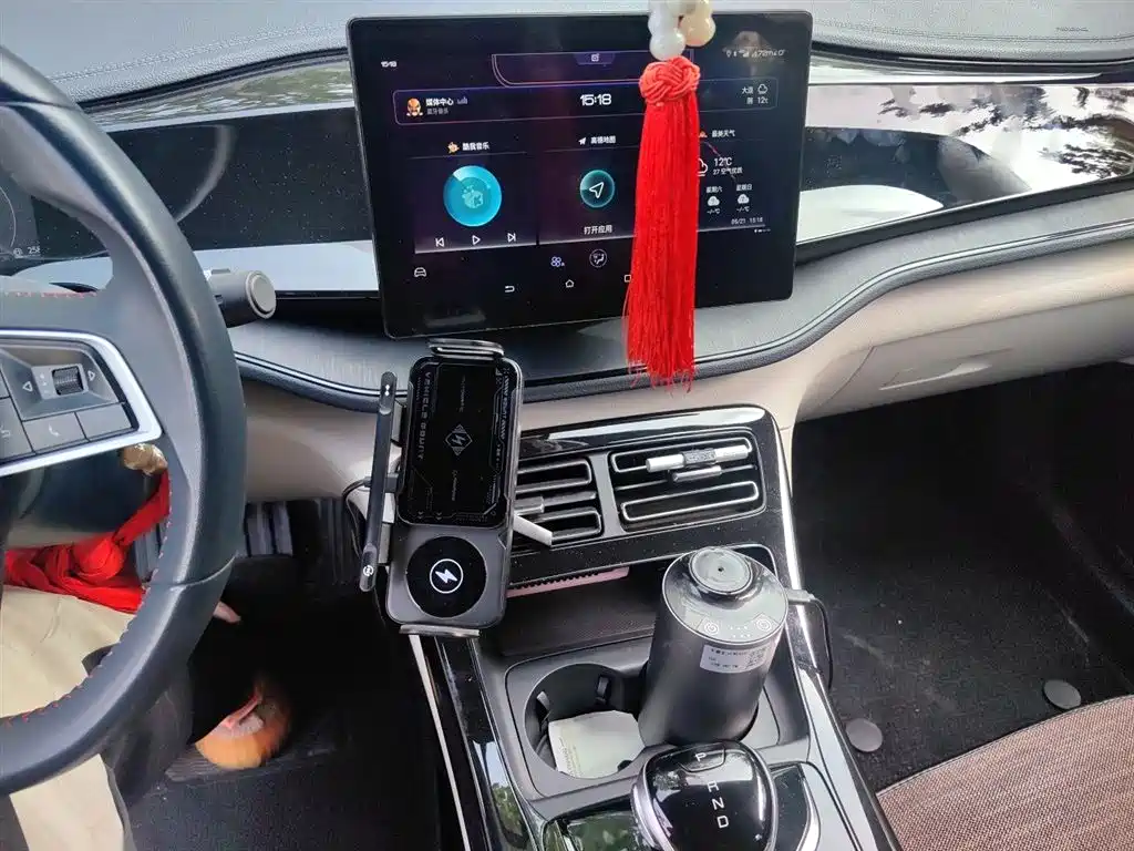 BYD Qin PLUS 2021 DM-i 55KM Premium фото 10