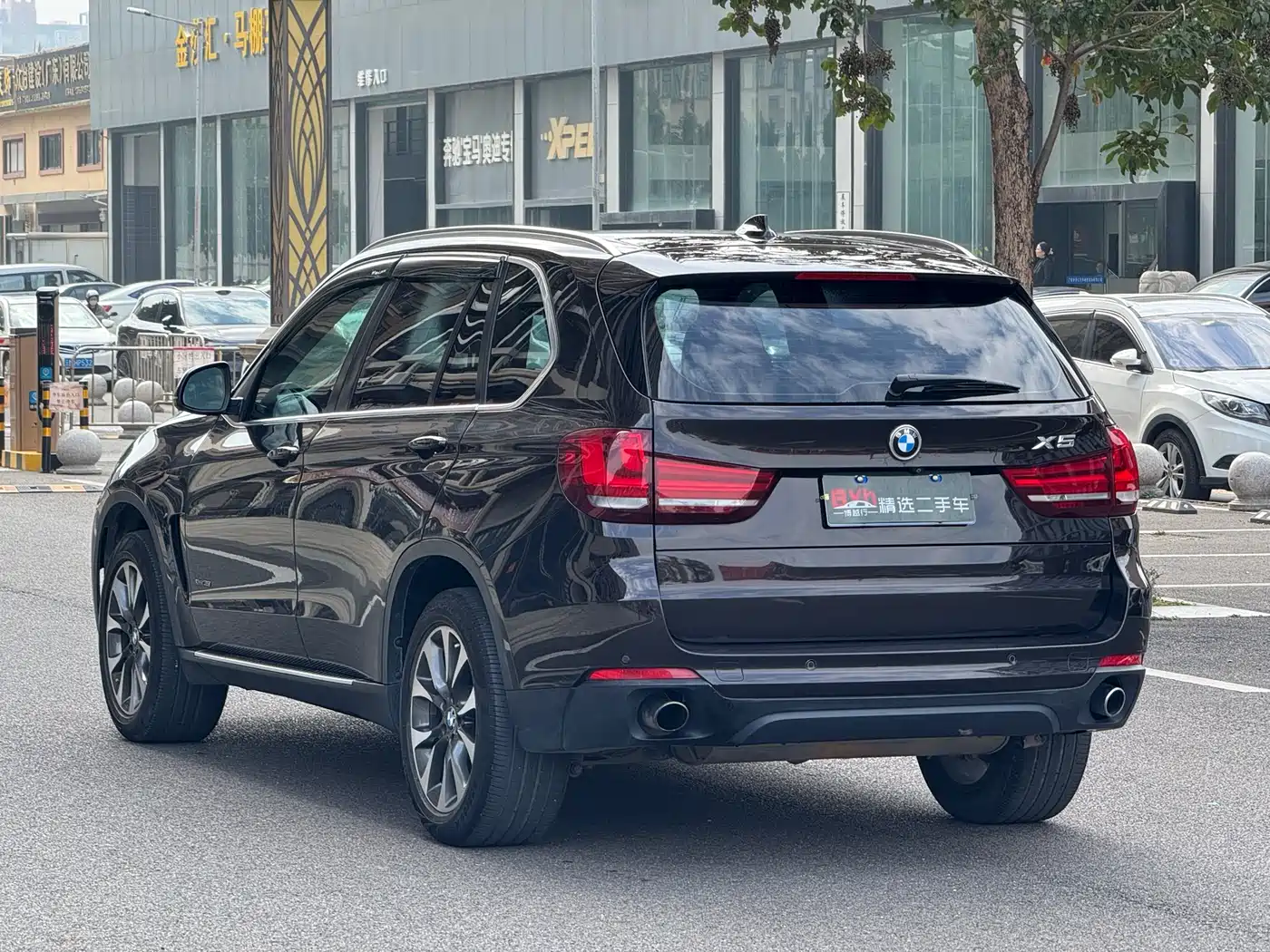 BMW X5 (Import) 2014 xDrive35i Elegance фото 5