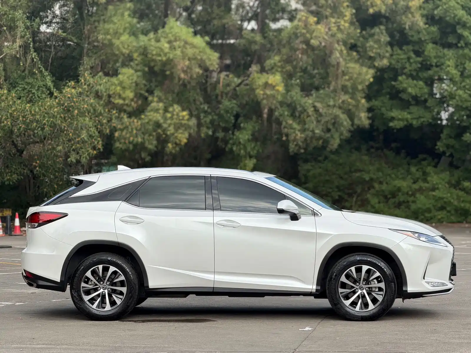 Фото 4 - Lexus RX