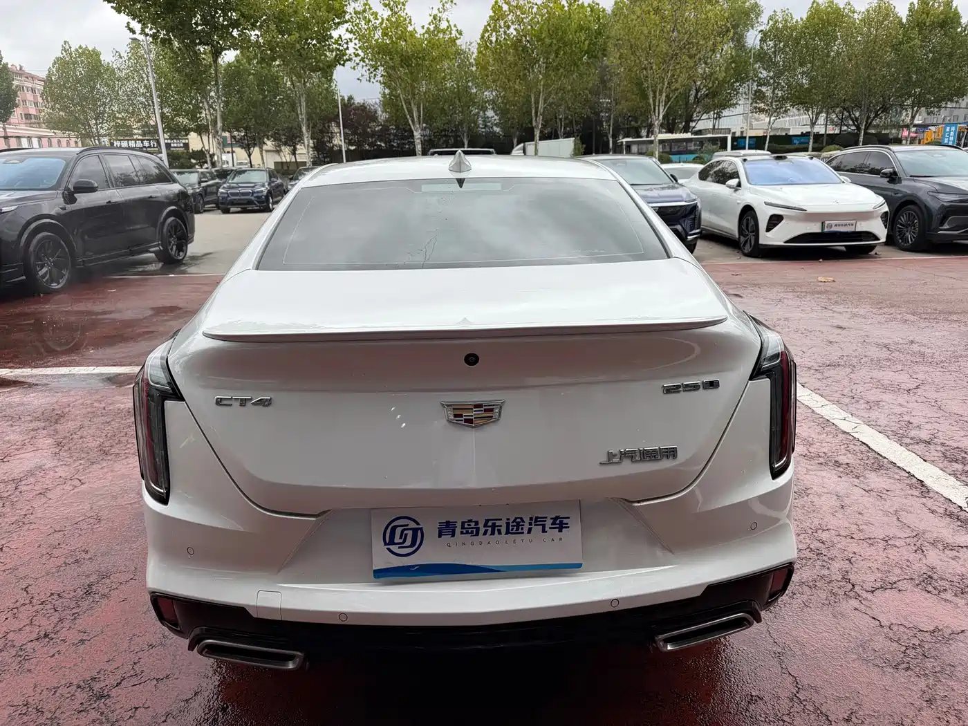 Cadillac CT4 2024 2023 25T Luxury Model