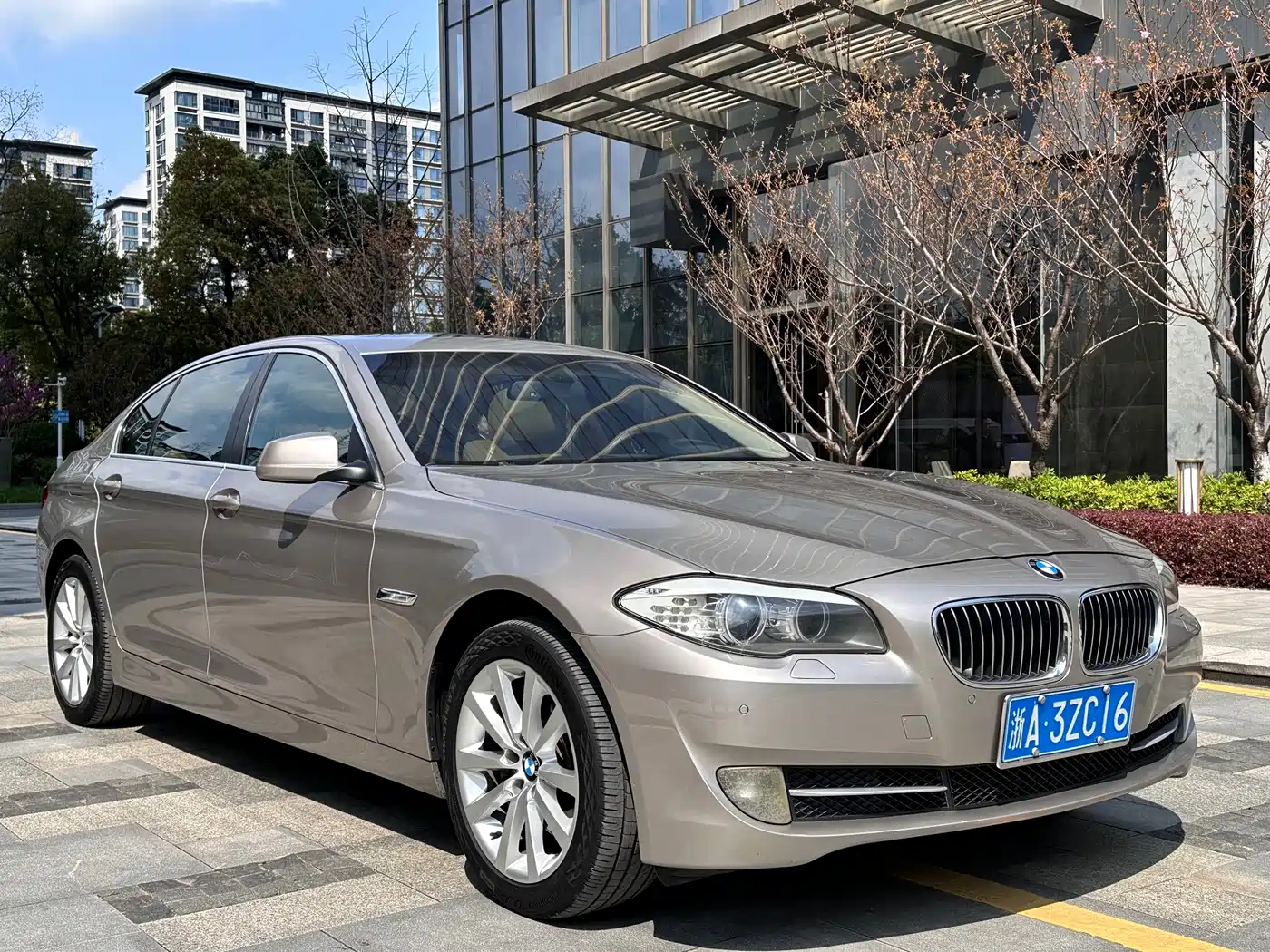 BMW 5 Series 2013 530Li Leadership фото 3