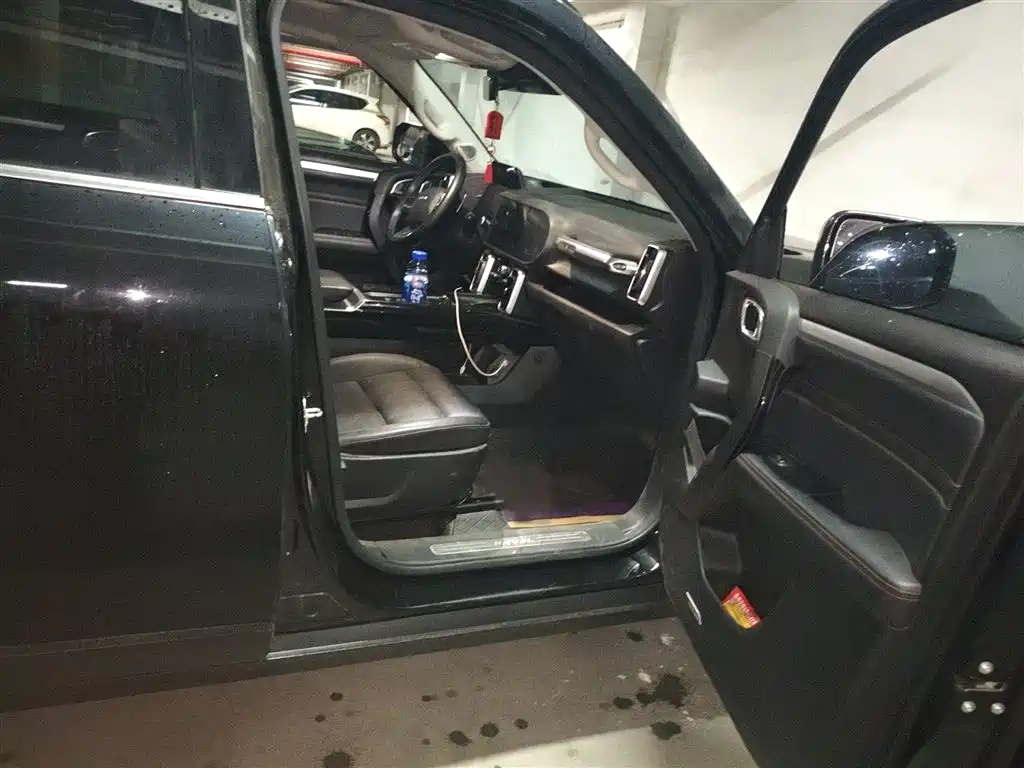 Haval Big Dog 2022 1.5T DCT FWD Border Collie Edition фото 20
