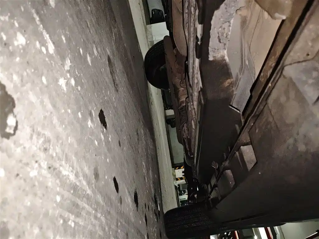 Haval Big Dog 2022 1.5T DCT FWD Border Collie Edition фото 19