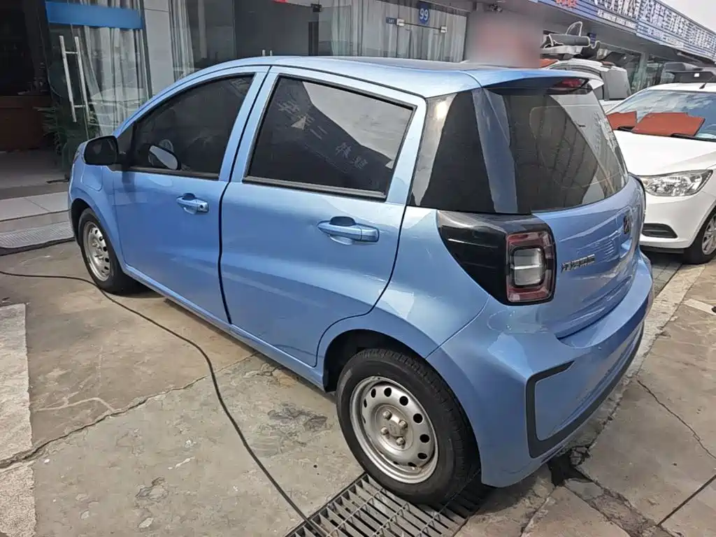 Sehol Flower Fairy 2021 2021 200km Classic Edition