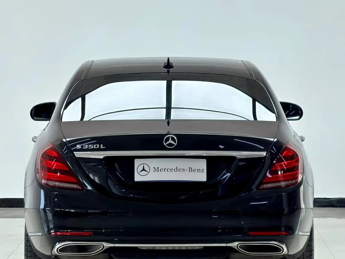 Mercedes-Benz S-Class 2019 S 350 L Luxury Ultimate Edition фото 13
