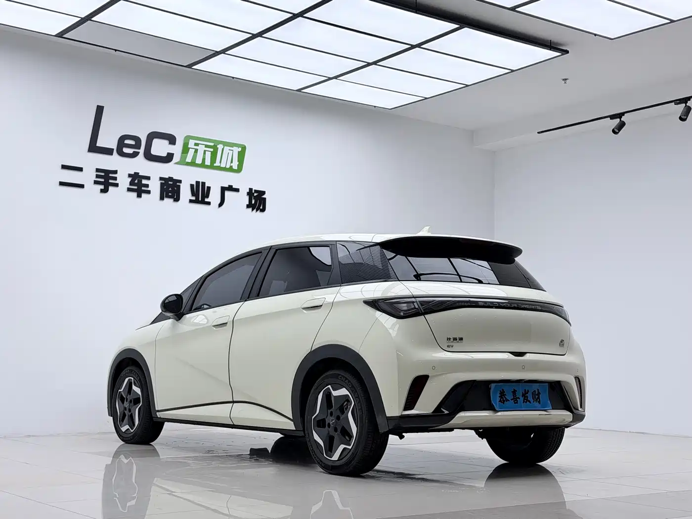 BYD Dolphin 2022 2021 Model 405km Fashion Edition