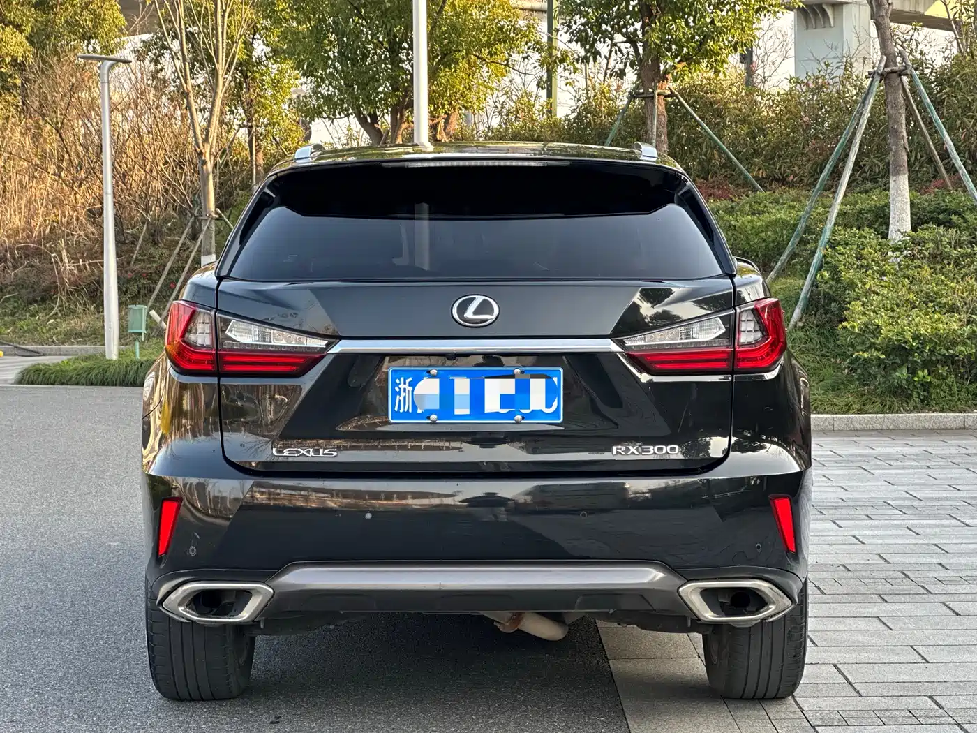 Lexus RX 2016 300 4WD Elegance Edition (China V) фото 5