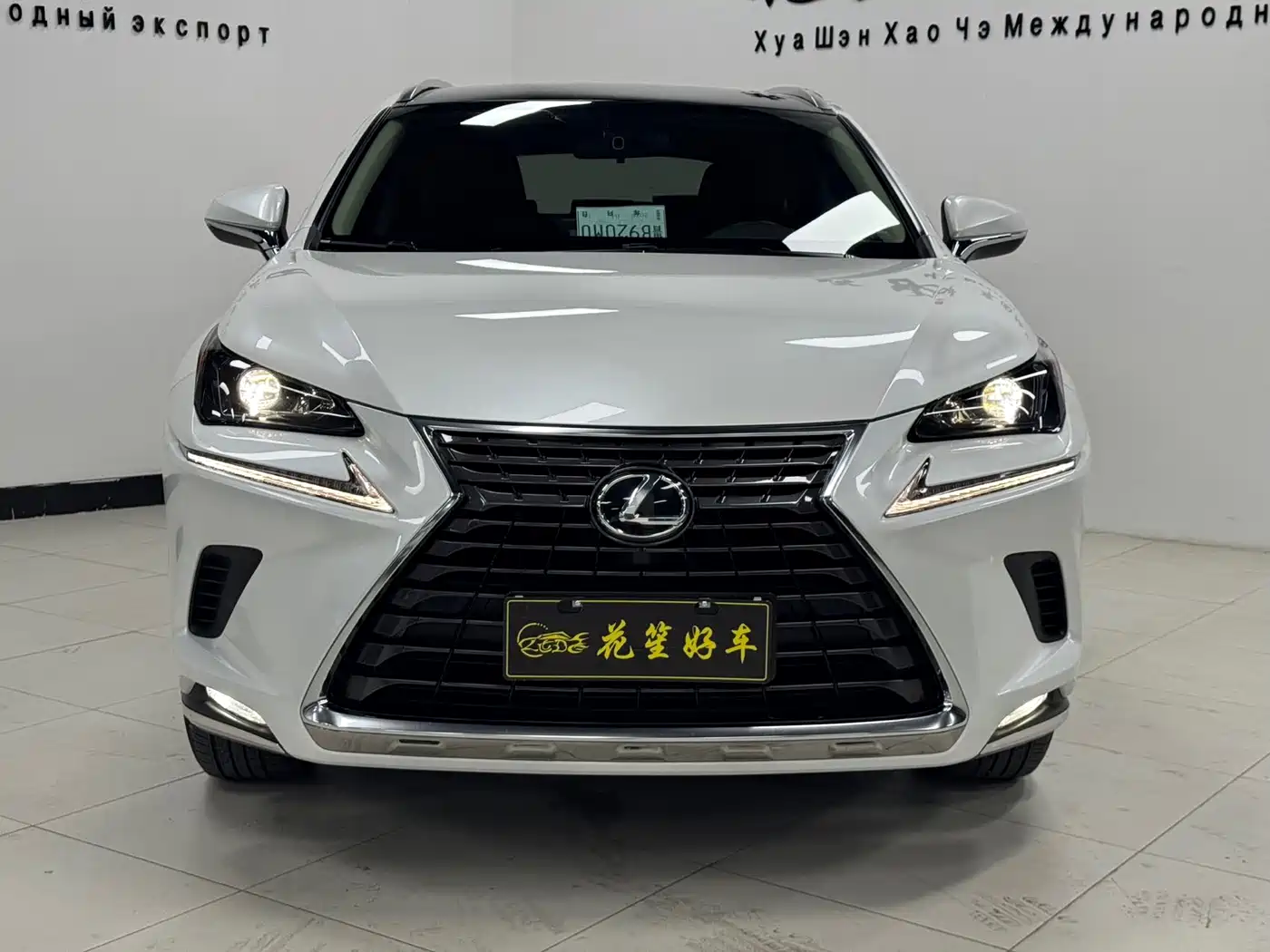 LEXUS NX