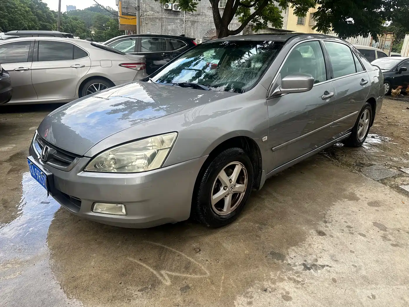 Honda Accord 2006 2006 2.4L Heated Edition