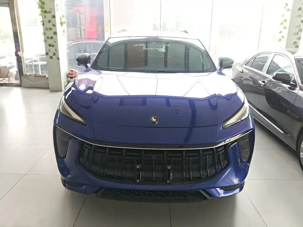 Dongfeng Fengxing Fengxing T5 EVO 2023 2021 1.5TD DCT Diamond Edition