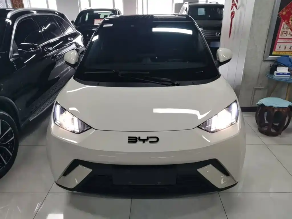 Фото 3 - BYD Seagull