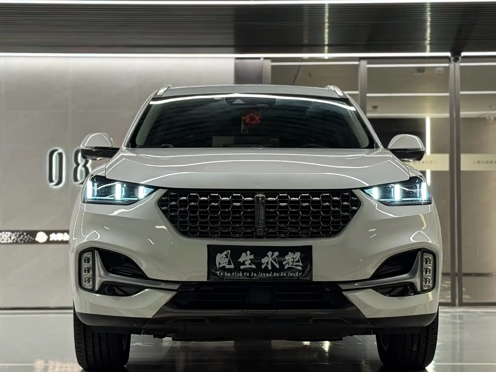 Фото 2 - WEY VV6
