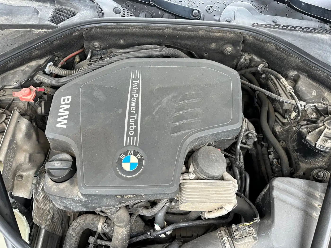 BMW 5 Series 2017 525Li Luxury Design Package фото 20