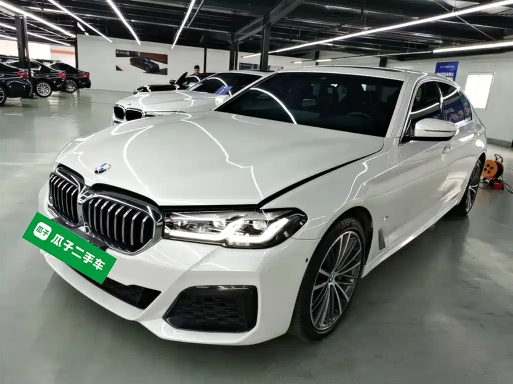 BMW 5 Series 2021 530Li Leading M Sport Package