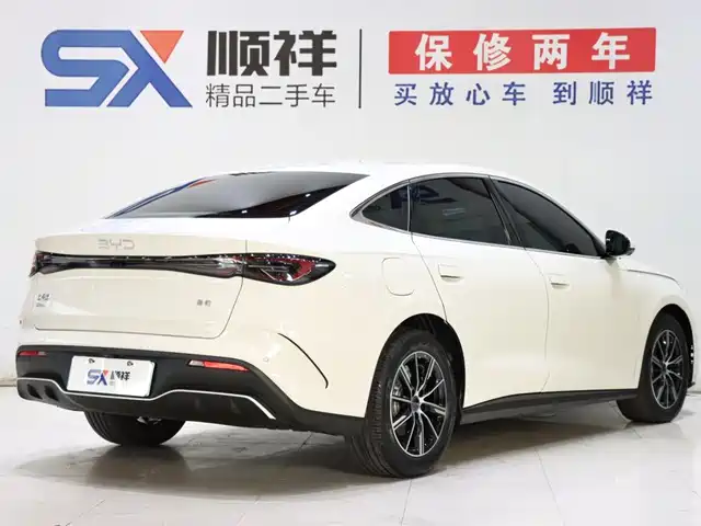BYD Seal 06 New Energy 2024 DM-i 80KM Prestige — фото 4