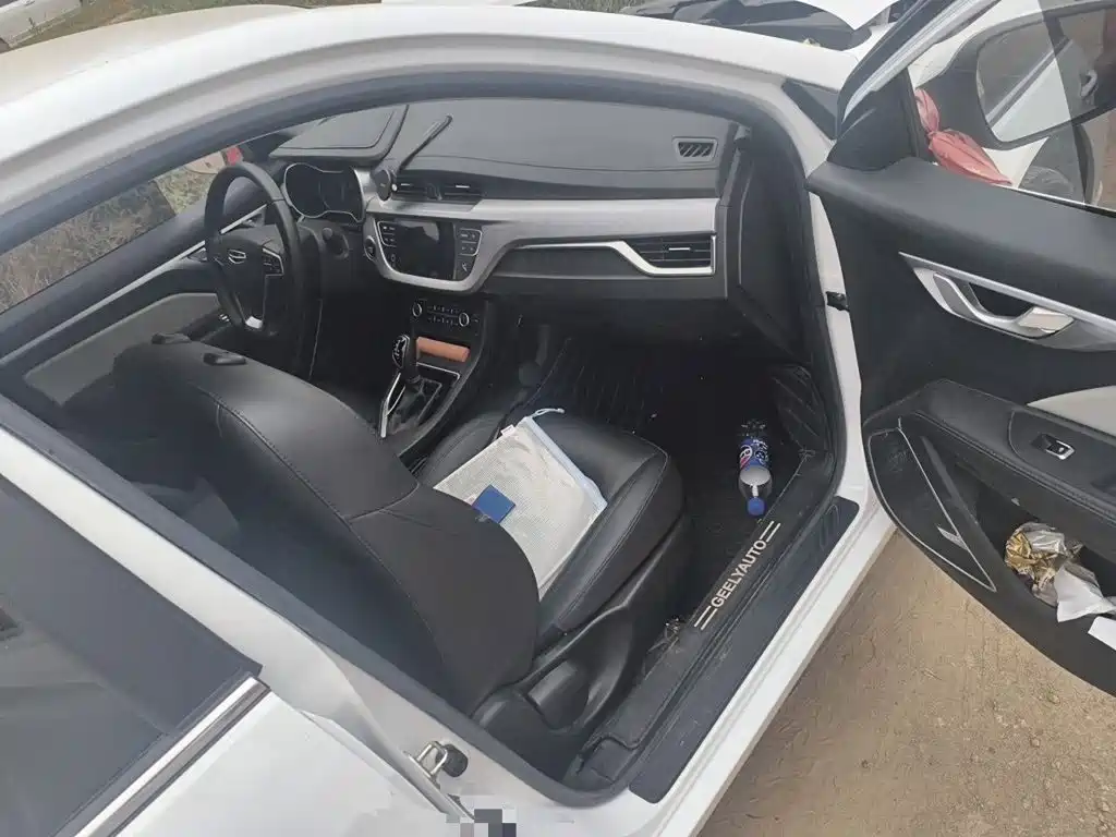 Фото 19 - Geely Vision