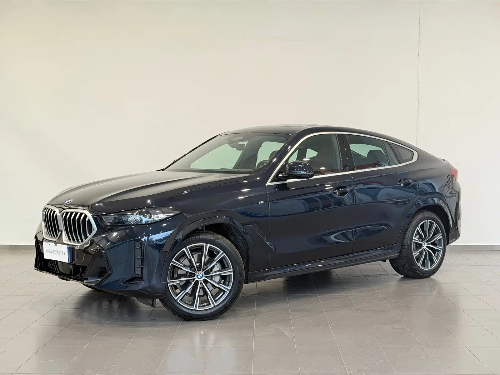Photo 1 - BMW X6