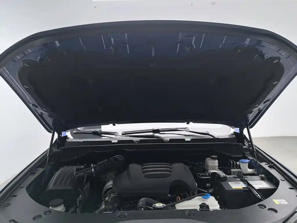 Great Wall Pao 2020 2019 2.0T Commercial Manual Diesel 4WD Elite Long Box GW4D20M
