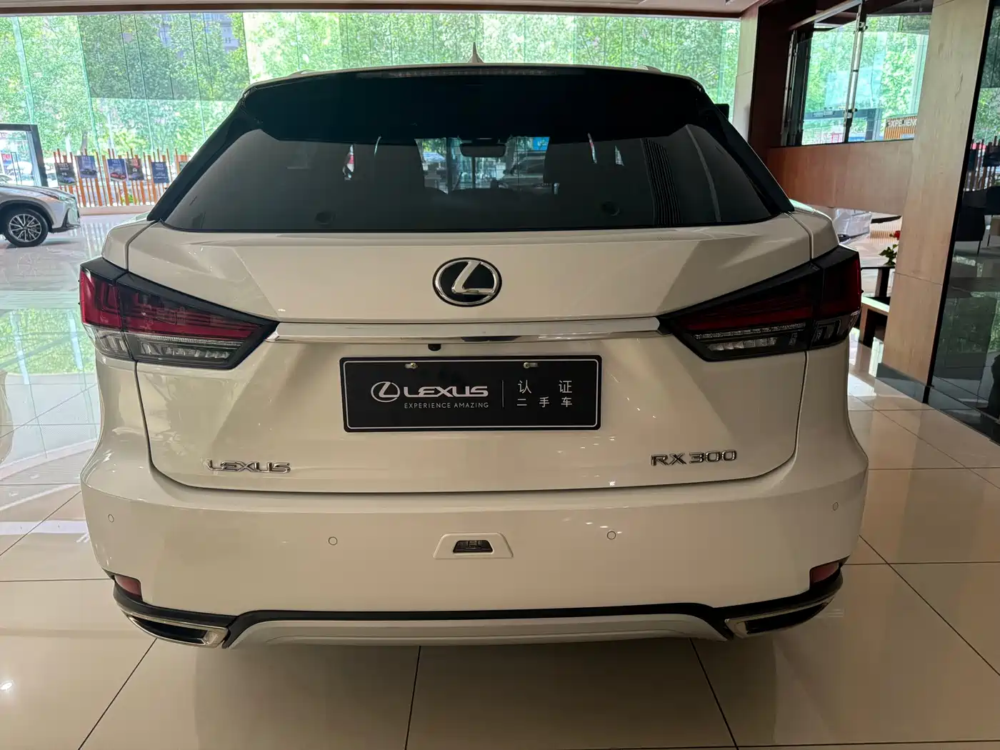 Lexus RX 2020 300 4WD Elegance Edition China VI фото 14