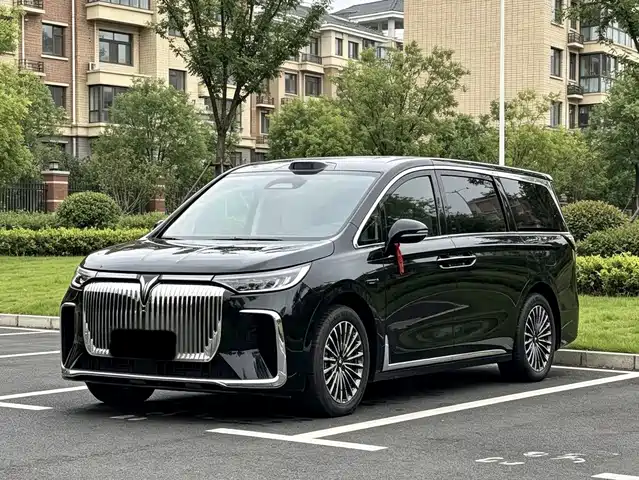  Voyah Auto Voyah Dreamer 2025 Model PHEV Basic Version