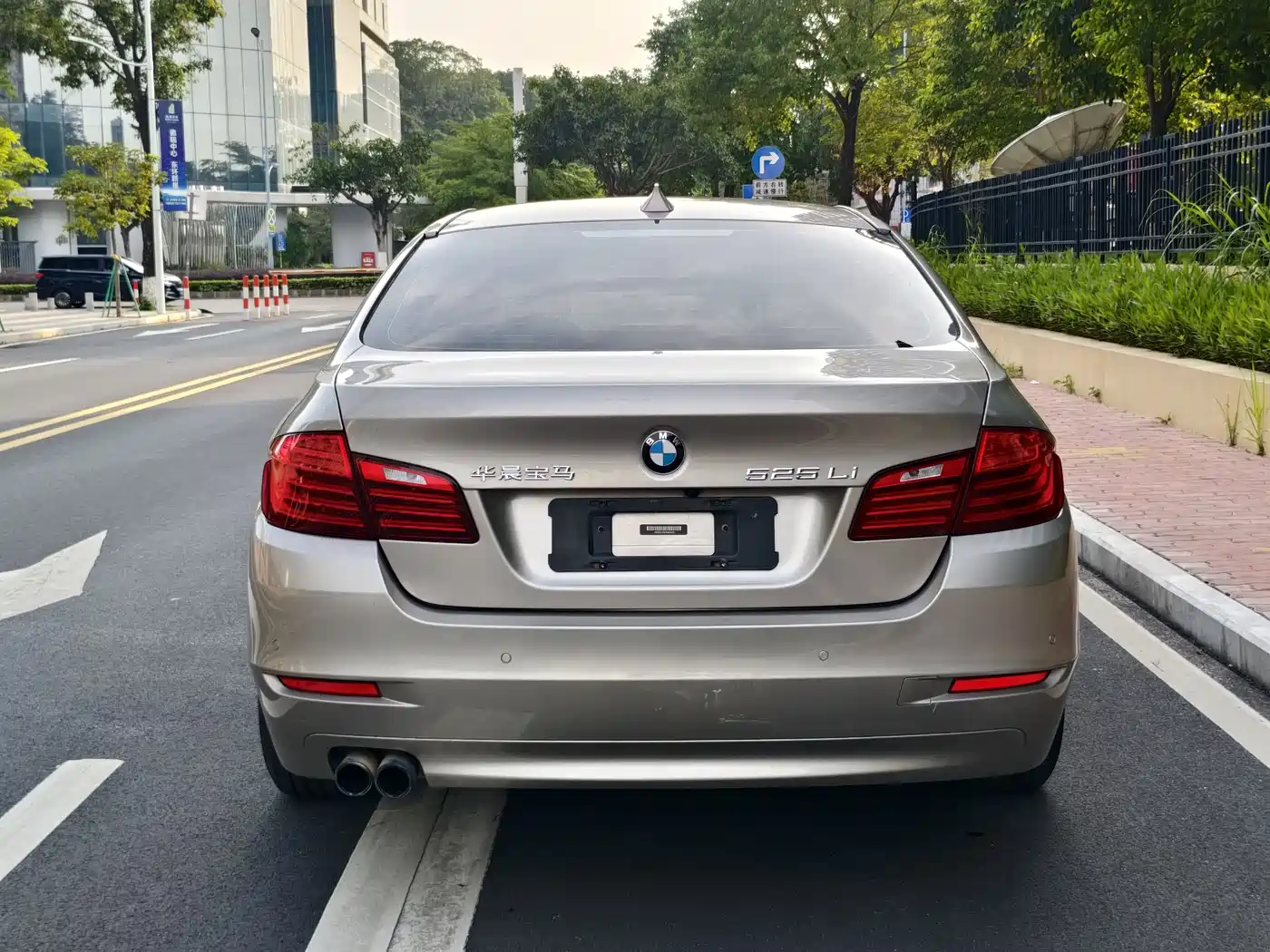 BMW 5 Series 2014 525Li Leading фото 5