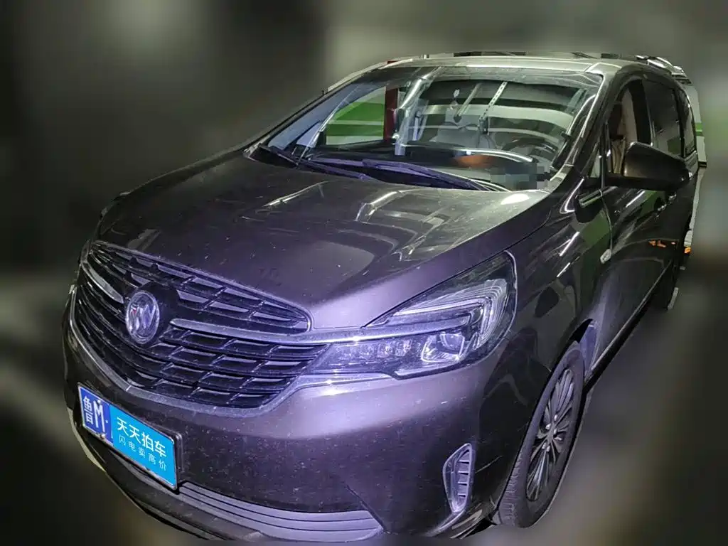 Buick Buick GL8 2021 Land Business Class 652T Luxury
