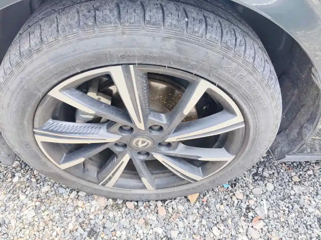 Changan Yida 2023 2023 Blue Whale NE 1.5T GDI DCT Pilot