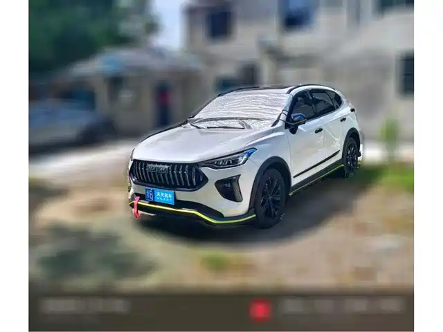  Haval Haval Chitu 2021 Turbo Edition 1.5T Golden Rabbit