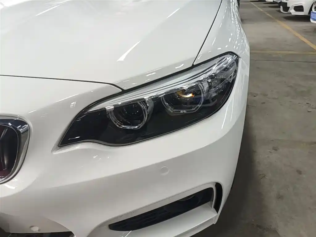 BMW 2 Series (Import) 2018 225i Convertible Coupe M Sport фото 24