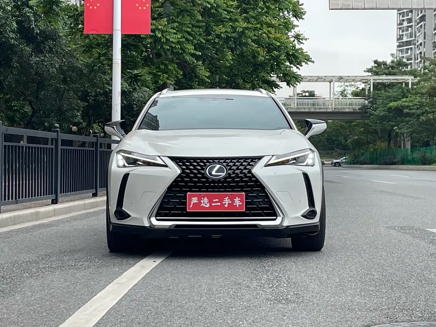 Lexus UX 2019 260h Explorer Fun Edition (China V) фото 2