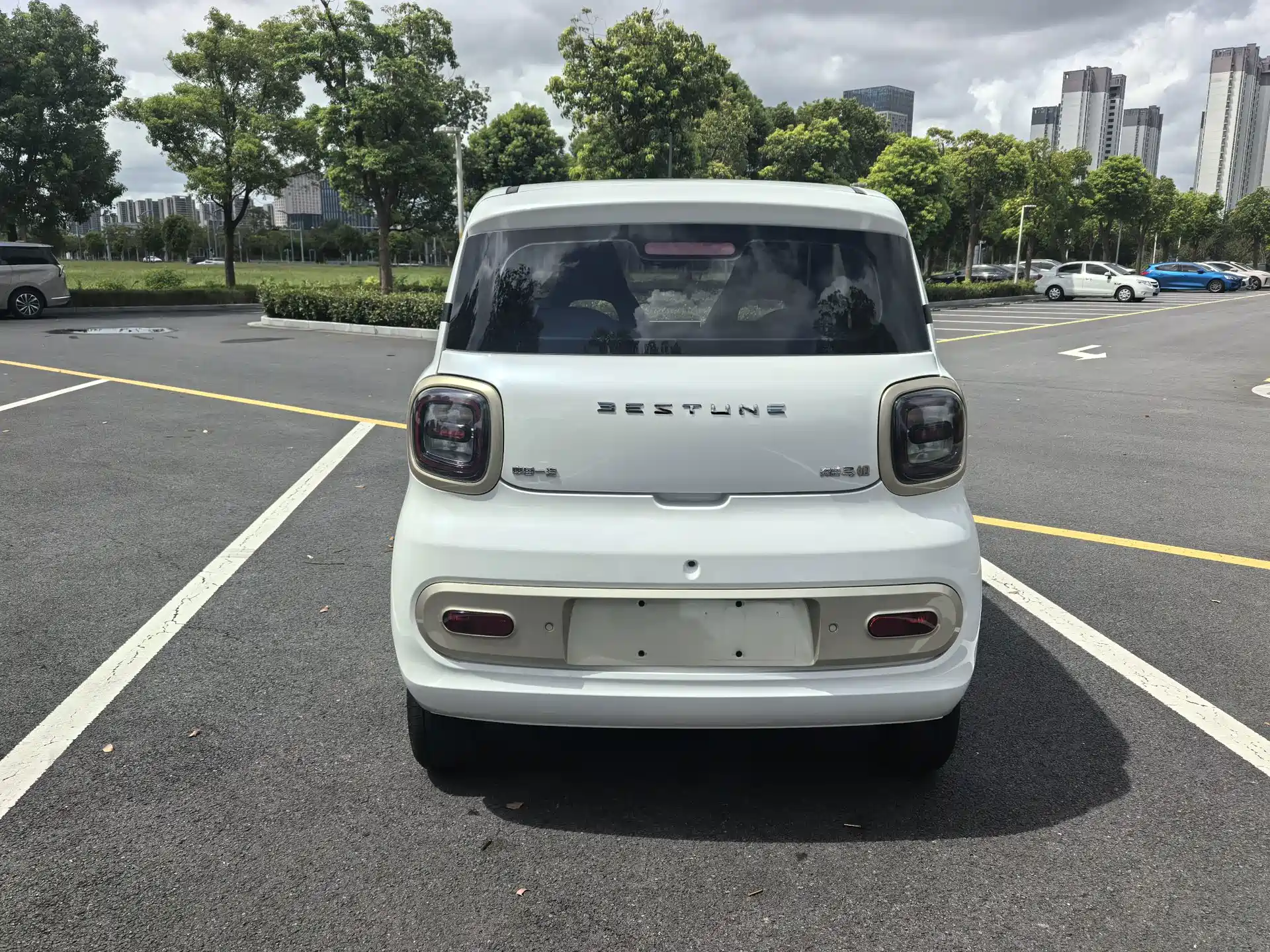 Фото 6 - Besturn Bestune Pony